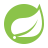Logo do SpringBoot
